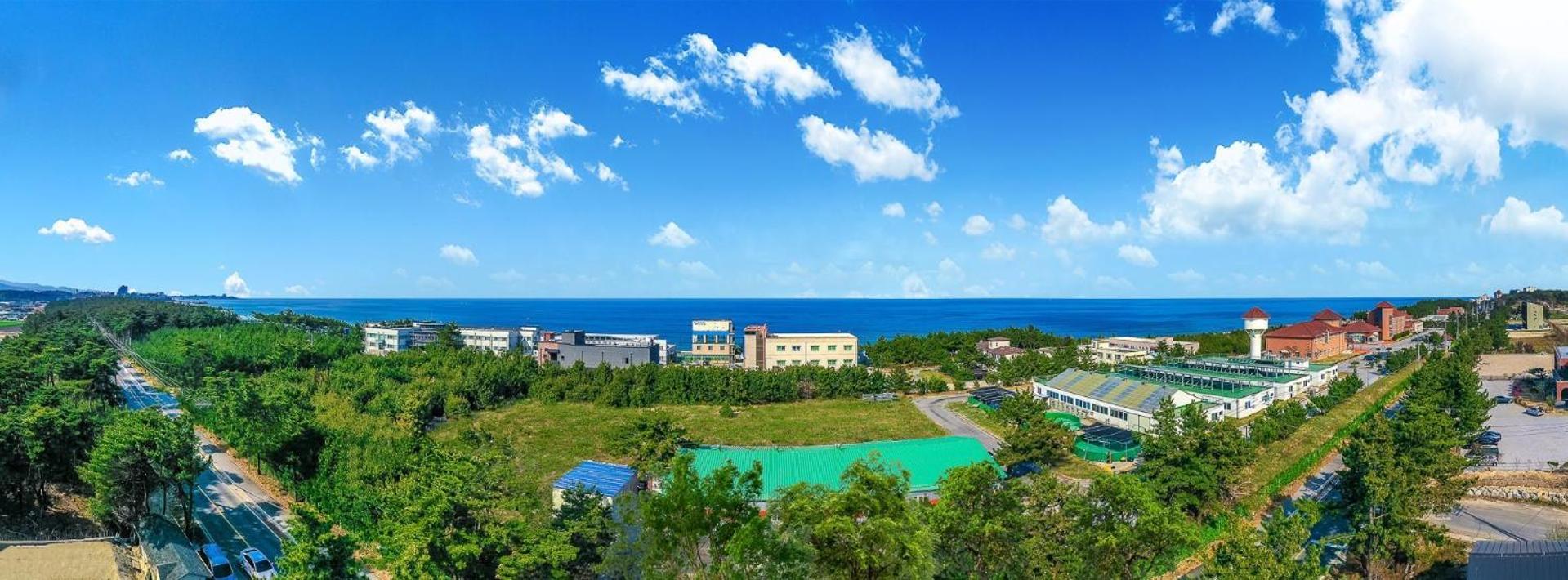 Gangneung Hello 4000 Pension Экстерьер фото