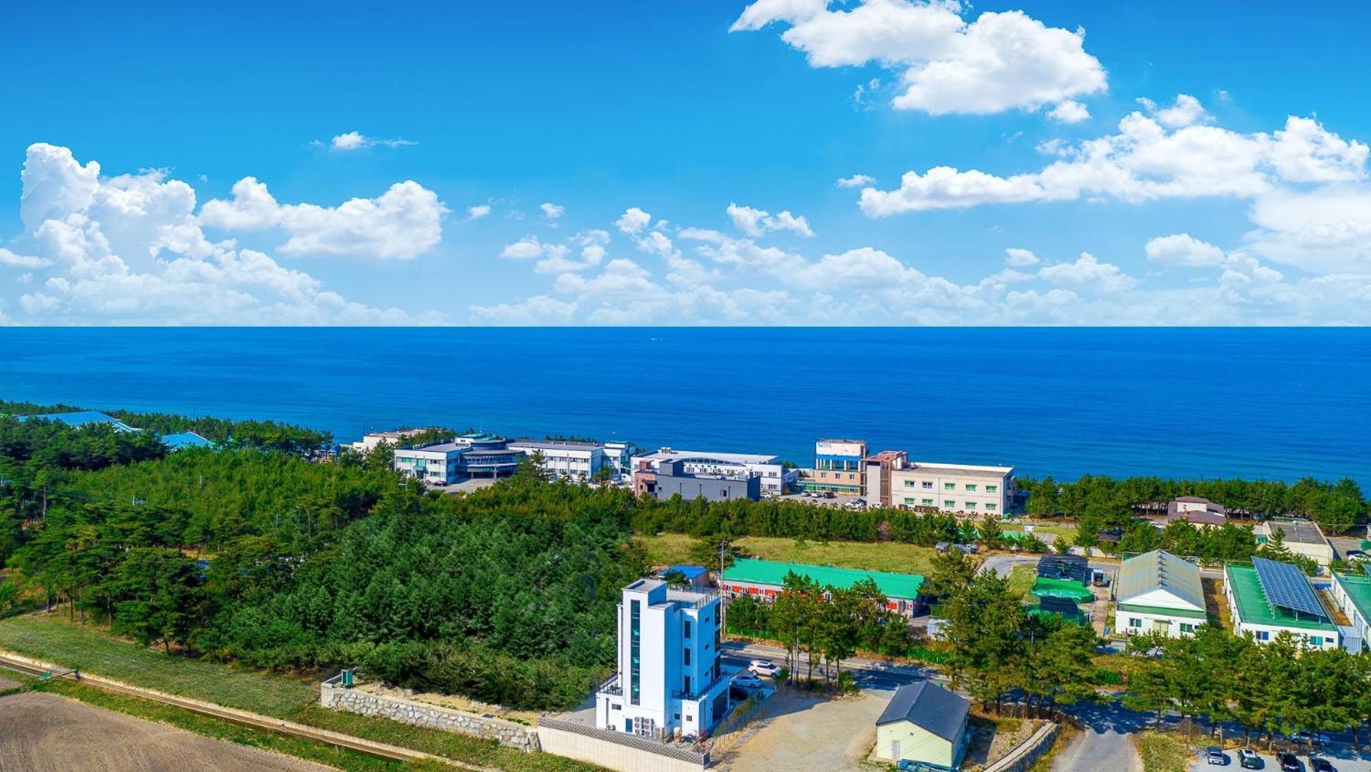 Gangneung Hello 4000 Pension Экстерьер фото